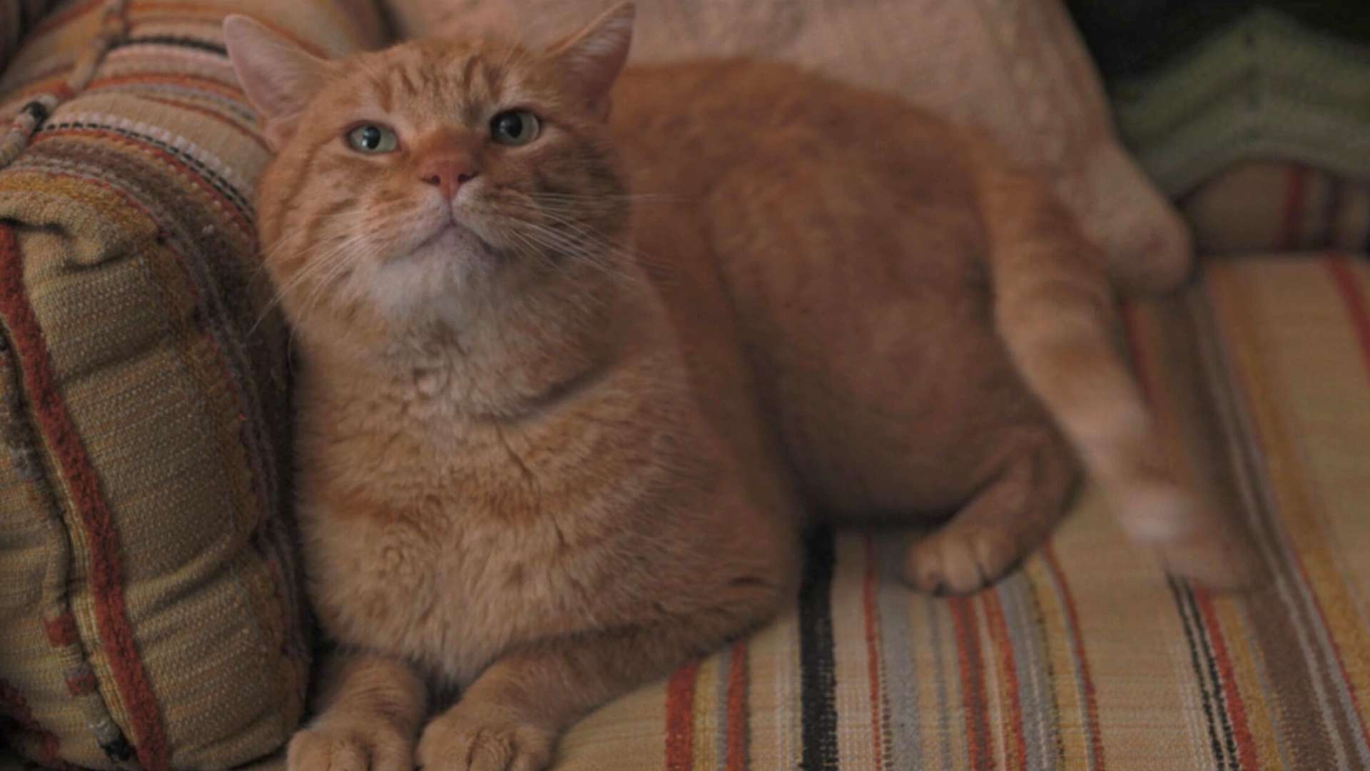 Stranger Things Season 2 Reviews - "A Nostalgic Sweetness Against A Growing Horror" - What Critics Said About Stranger Things Season 2