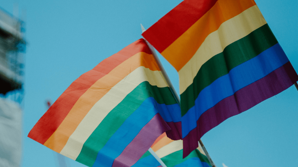 Exciting LGBTQIA+ Novels We Think You Need To Read Next - LGBT Novels