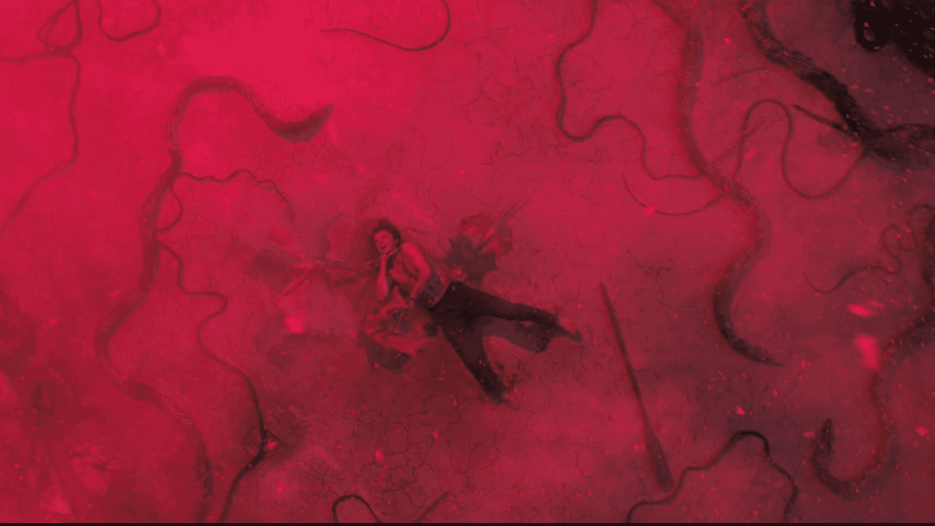 Stranger Things Season 5 Steve Death - Some Stranger Things Fans Think Steve Will Die From A Demobat Infection In Season 5