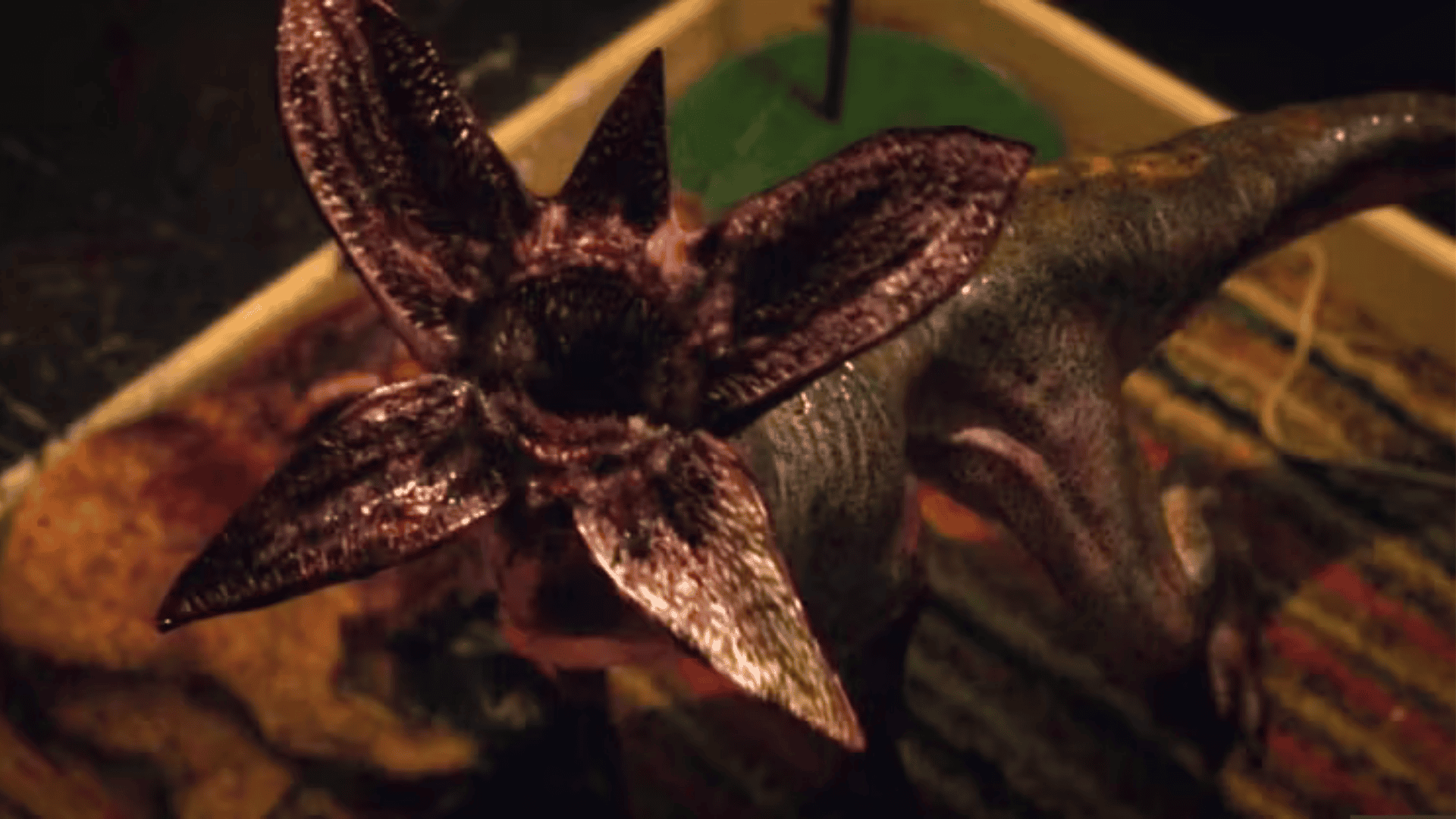 Mark Steger Stranger Things Demogorgon - Who Is Mark Steger Who Brought The Stranger Things Demogorgon To Life?